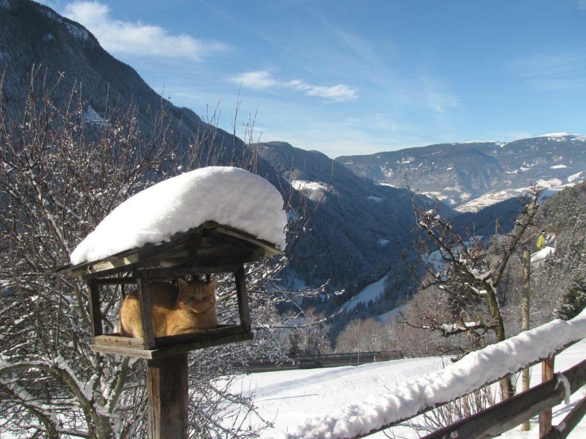Ritschhof Guest House Laion Bagian luar foto