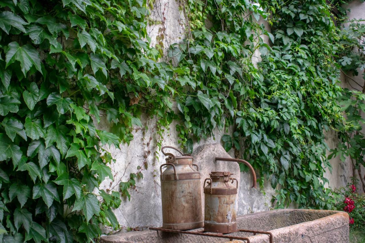 Ritschhof Guest House Laion Bagian luar foto